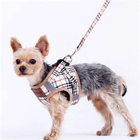 burberry harness|burberry dog collars and leashes.